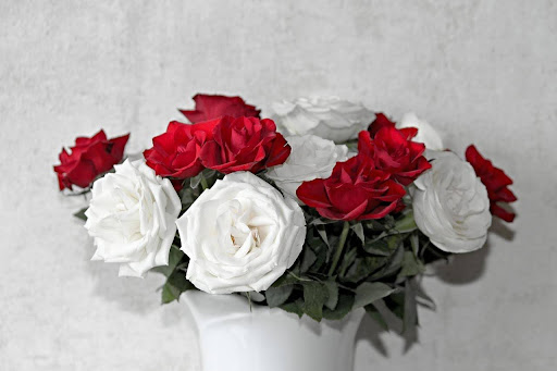 Red and White Roses