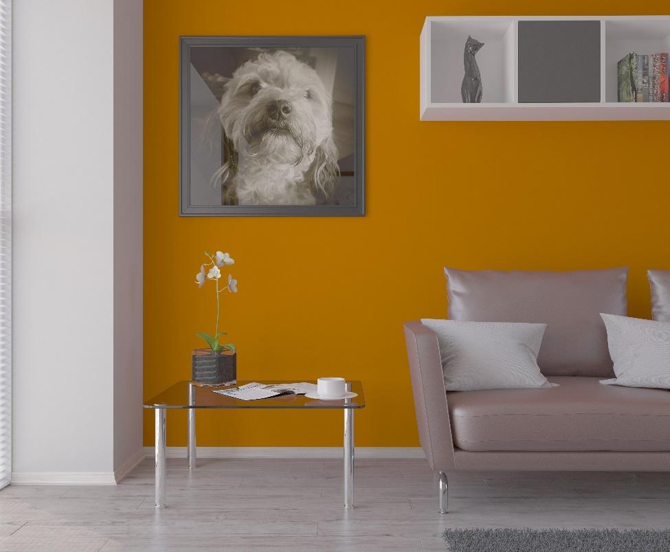 Living room wall painted with turmeric yellow color