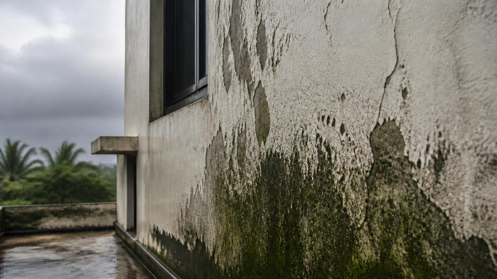 Why Monsoon Damages Exterior Paint