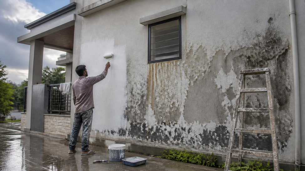 Common Mistakes to Avoid When Painting After Rains