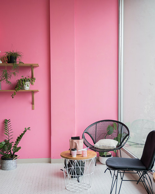 Pink Color Combination for Bedroom Walls: 10 Ideas with Images