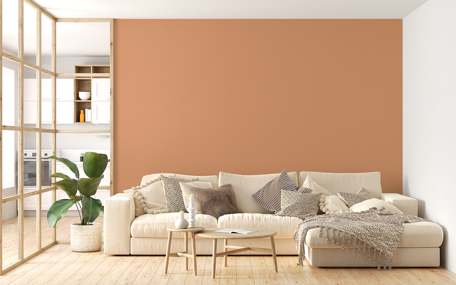 A Living Room Wall Painted with Accent Orange Shade